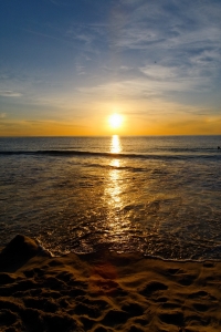 image00012