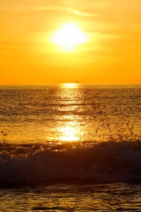 image00013