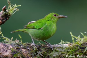 dsc_3119_dxo
