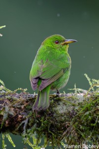 dsc_3534_dxo
