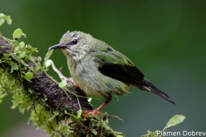 dsc_5188_dxo