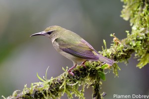 dsc_5347_dxo