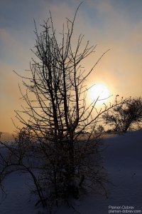 image017