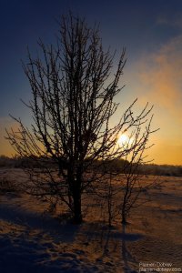 image018