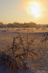 image019